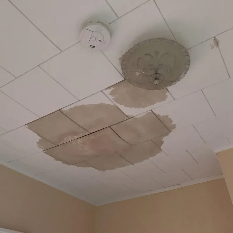 Ceiling Water Damage Repair in Shelby County, AL