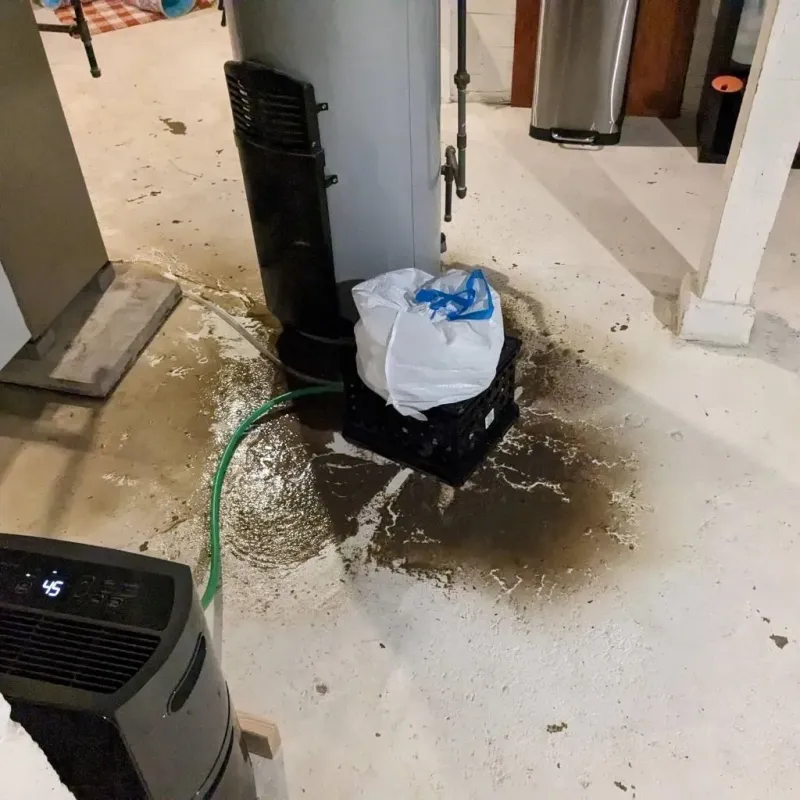 Sewage Backup Cleanup Service in Shelby County, AL